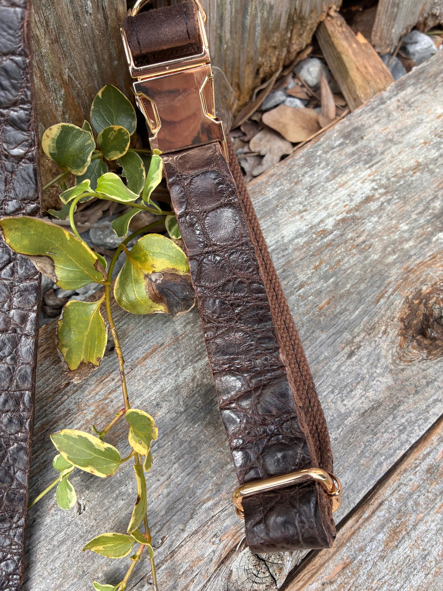 Authentic Louisiana Wild alligator dog/animal collar and leash set