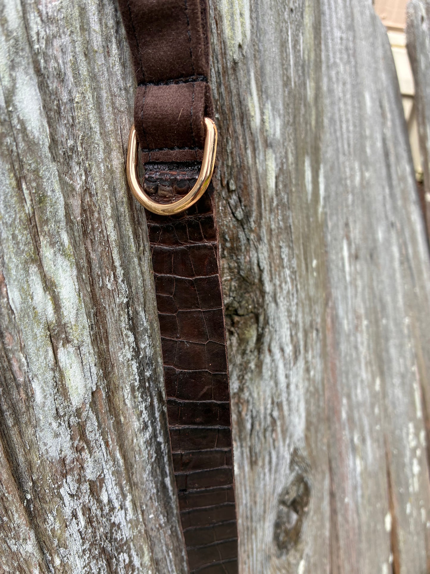 Authentic Louisiana Wild alligator dog/animal collar and leash set