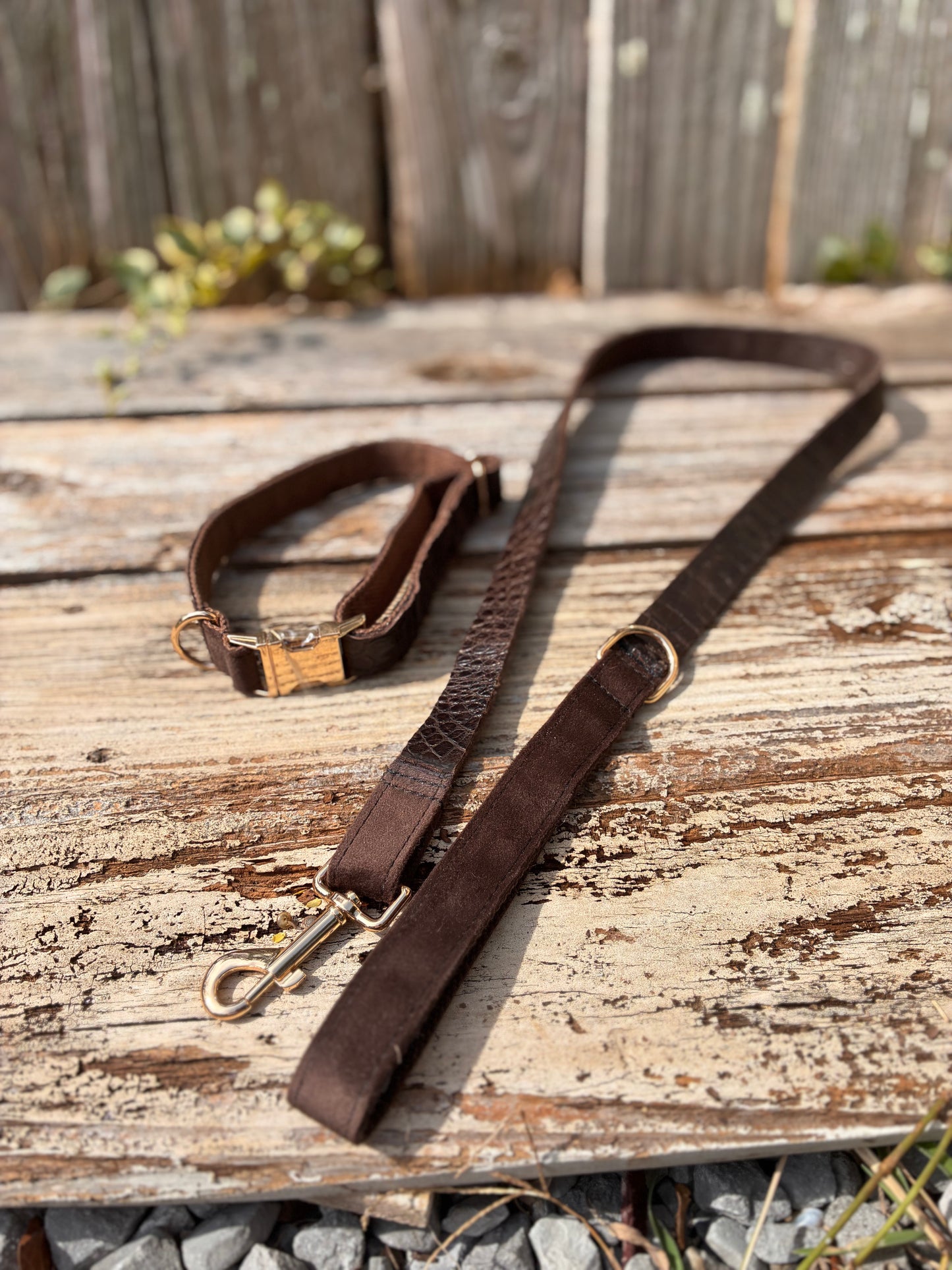 Authentic Louisiana Wild alligator dog/animal collar and leash set