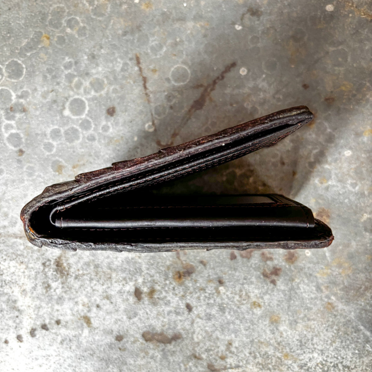Genuine Wild Louisiana Alligator Bifold Wallet for Men | Handcrafted Seamless Exotic Leather Billfold